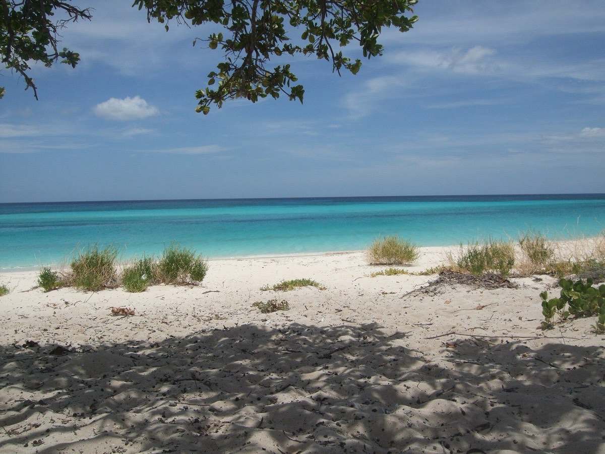 Undeveloped white sand and turquoise sea at Bahía de las Águilas, southwest Dominican Republic