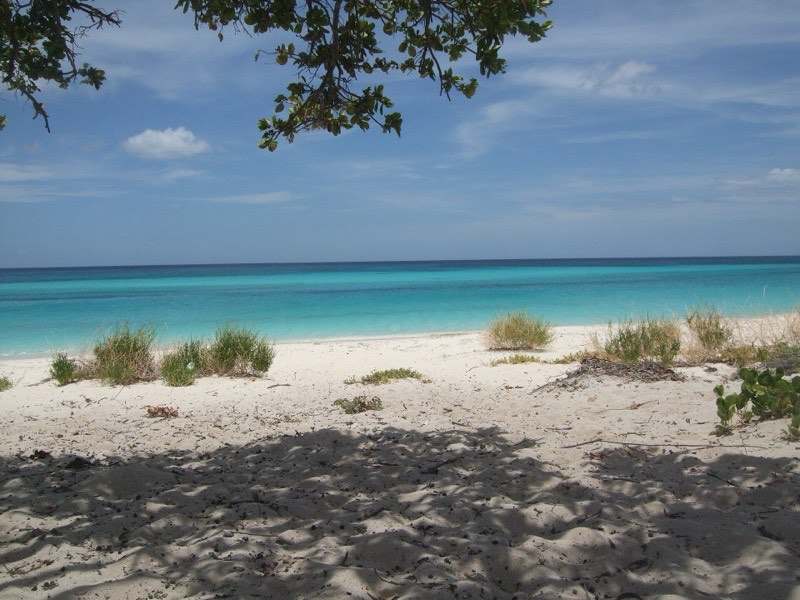 Empty white sand and turquoise water at Bahía de las Águilas, Dominican Republic