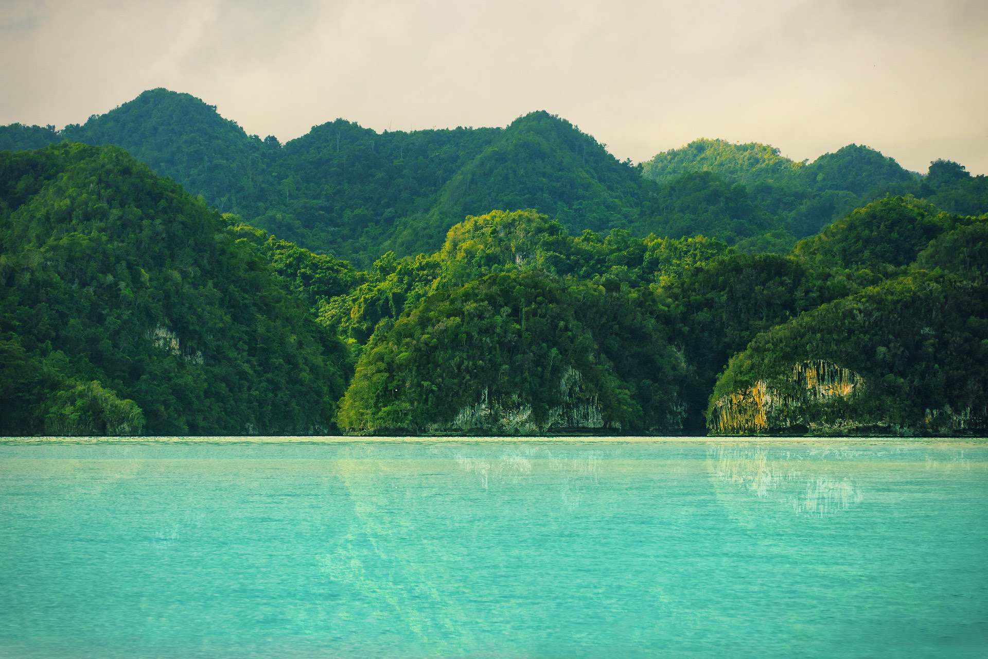 Forested limestone hills meeting still turquoise water in Los Haitises National Park, Dominican Republic