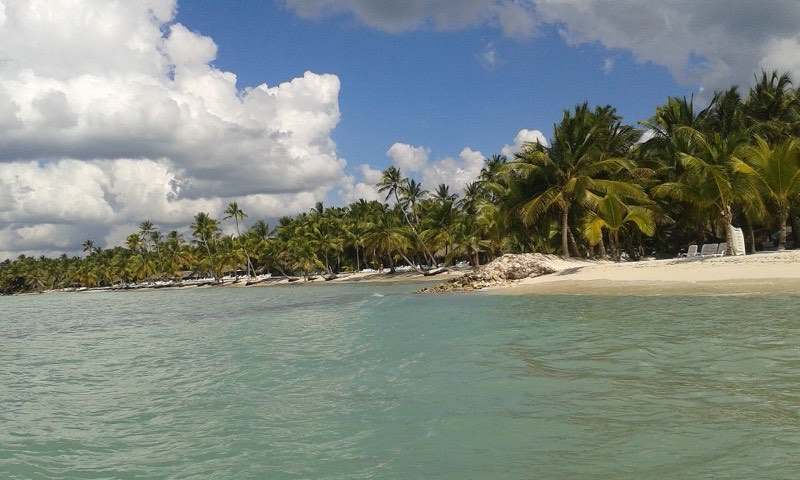 Palms leaning over a quiet beach on Isla Saona, Dominican Republic